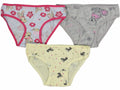 Whimsical Garden & Friends Cotton Brief Set (8-9 years)