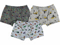 Dino-Mite & Forest Friends Boxer Set(6-7 years)